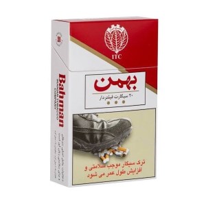 سیگاربهمن کوچک