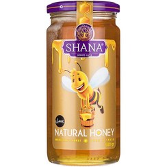 شانا عسل 310 گرم