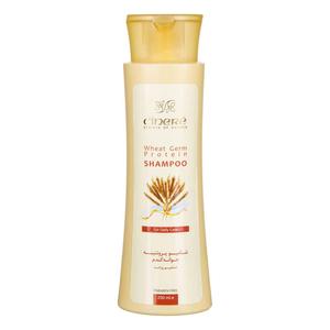 سینره شامپو پروتئینه جوانه گندم