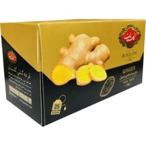 گلستان تی بگ زنجبیل 25عددی