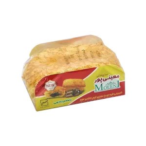 معینی پور دانمارکی