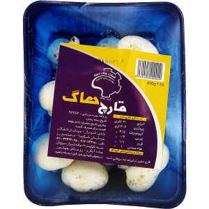 قارچ بزرگ 400
