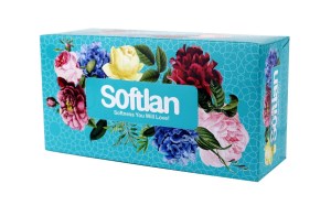 سافتلن دستمال کاغذی 300 برگ سری پرنیان