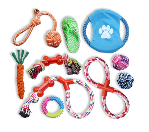 Dog-Potty-Training-in-7-Days